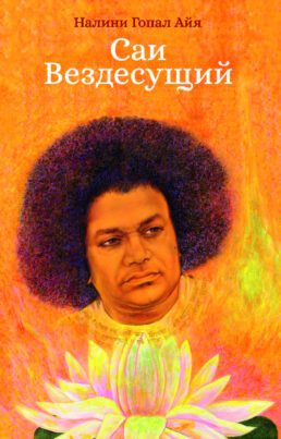 обложка книги Саи Вездесущий