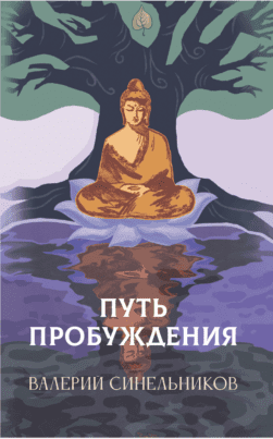 Путь Пробуждения. Валерий Синельников