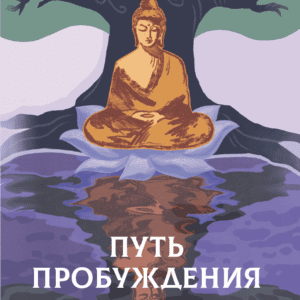 Путь Пробуждения. Валерий Синельников